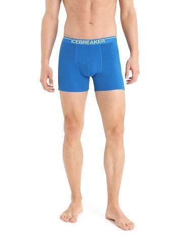 Lazurite Men's Icebreaker Merino Anatomica Boxers Underwear | USA 1311TCEV